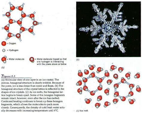 Snowflake Science With Images Snowflakes Science Hydrogen Water