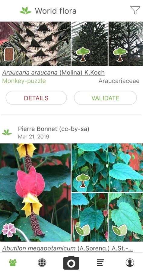 This app also offers photo id using artificial intelligence technology and allows you to create your own 'collection', as well as the ability to identify plants anywhere, anytime, even without internet. 7 Best plant identification apps for Android | Android ...