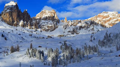 Wallpaper Dolomites Alps Mountains Snow Winter Trees