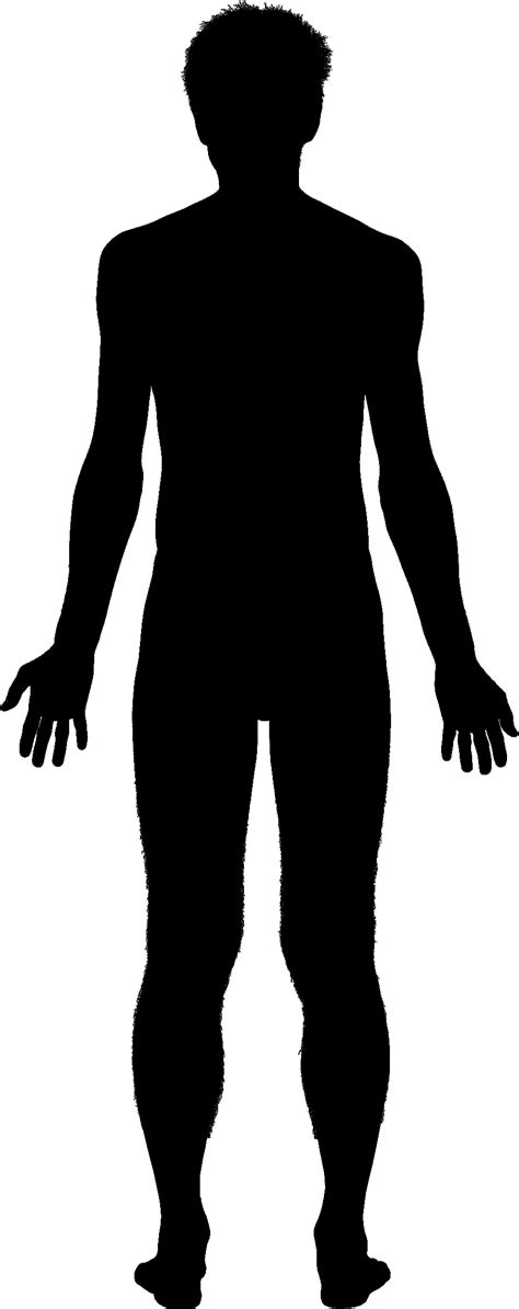 Human Body Outline Png ClipArt Best
