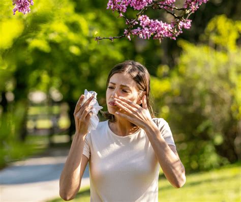 Alergia En Primavera Cómo Prevenir Y Tratar Los Síntomas