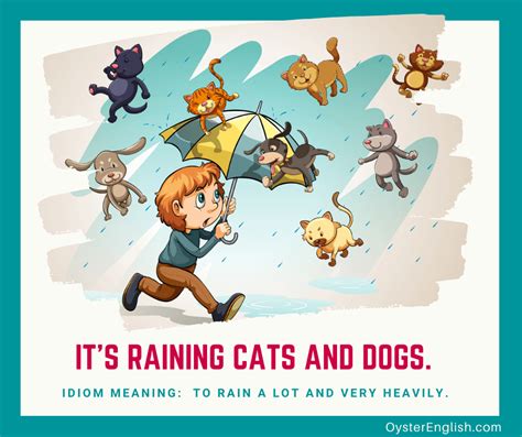 Idiom Raining Cats And Dogs Meaning And Examples