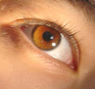 Honey Brown Demetrios Eye Color Honey Eyes Color Brown Eyes