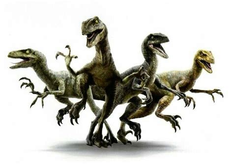 Charlie Blue Delta And Echo From Chris Pratts Raptor Squad Jurassic World Raptors Jurassic