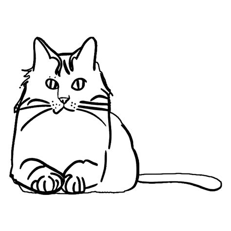 Norwegian Forest Cat Male Resting Outdoors Coloring Page · Creative Fabrica