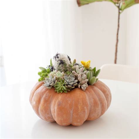 Halloween Decor Idea Pumpkin Succulent And Cacti Planter Melodrama