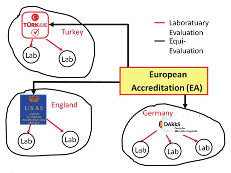 The Structure Of Regional Accreditation Bodies Download Scientific