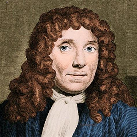 96 Antonie Van Leeuwenhoek Sapaviva