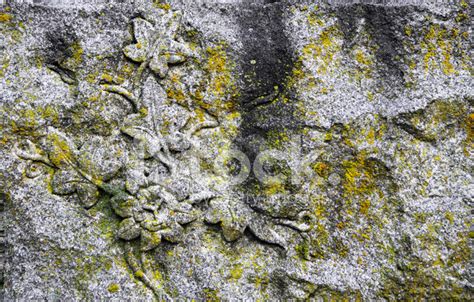 Ascii characters only (characters found on a standard us keyboard); Passion Flower Carving Stock Photos - FreeImages.com