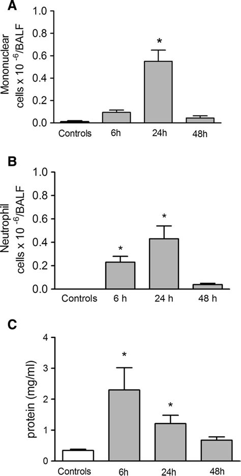 Cell Accumulation And Total Protein Content In Balf 6 24 And 48 H Download Scientific Diagram