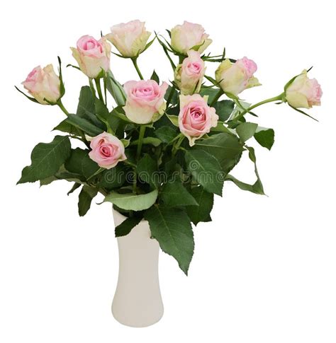 Beautiful White Rose Flowers Bouquet In A Vase On White Stock Image