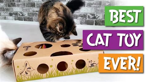 Petco.com in its sole discretion may refuse to redeem any promotion that it believes in good faith to be fraudulently or improperly obtained. CAT AMAZING - Best Cat Toy Ever - Puzzle Toy & Feeder for ...