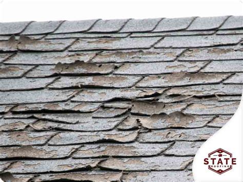 Why Does Your Roof Have Curling Shingles