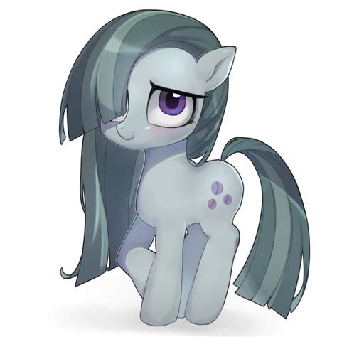 Marble Pie By 9seconds On Deviantart Pony