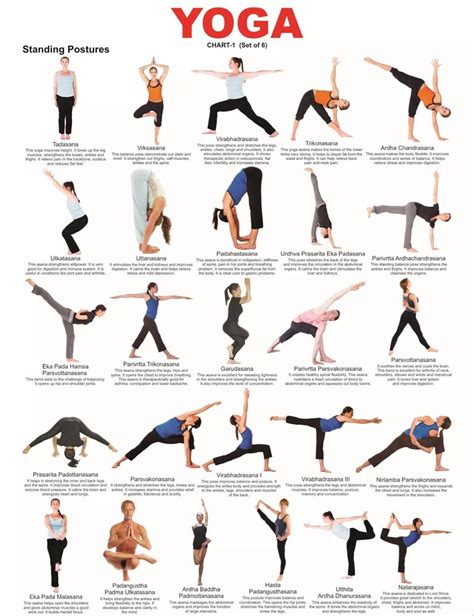 10 Yoga Poses You Should Do Every Day Yoga Poses Yoga