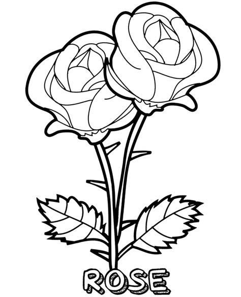 Rose Flower Picture For Coloring Best Flower Site