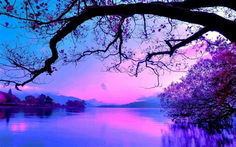 Free Download Purple Sunset 8782 1920x1200 Wallpaper 1920x1200 For