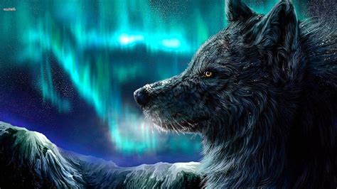 Cool Wolf 1080p Wallpapers Wolf Wallpaperspro