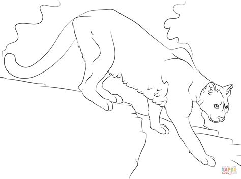 Puma Coloring Page Free Printable Coloring Page Coloring Home