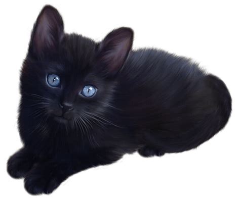 Cute Little Black Cat Transparent Png Stickpng