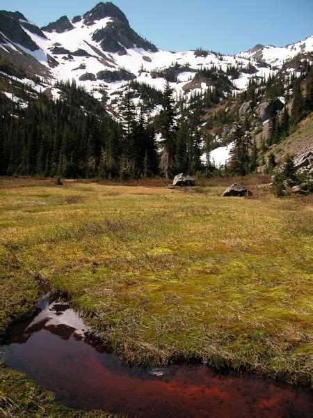 Olympic National Park Washington Landscape Photos In  Format Free