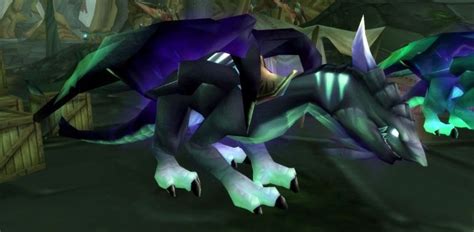 Nether Drakes Wowwiki Your Guide To The World Of Warcraft