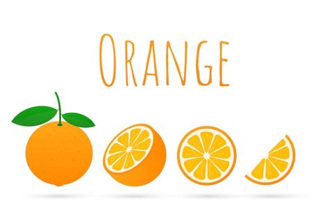 Orange Avec Des Feuilles Entières Et Des Tranches Doranges Vecteur