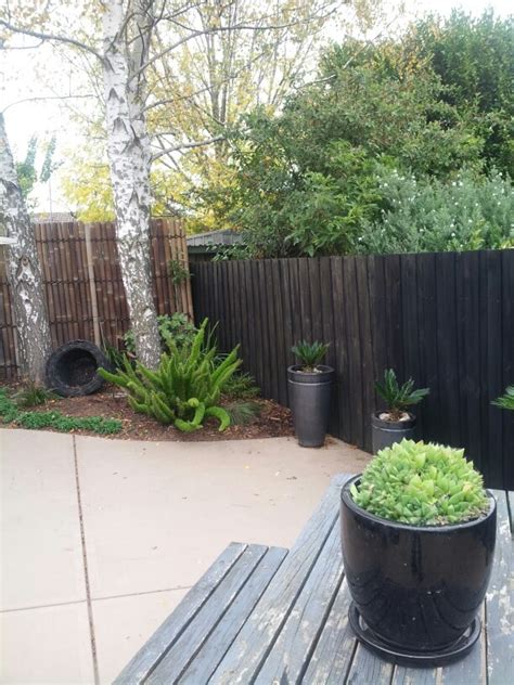 How do i stain a fence? 40 best images about black fence...blank house on ...
