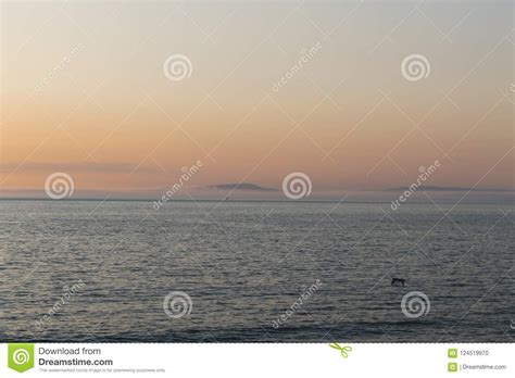 Beautiful Sunset Over The Waters Of Monterey California Stock Photo