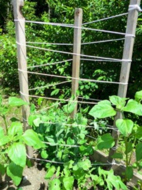 By helping the plants grow upward, the farmer can increase their yield and make it much easier to harvest the produce. 37 Chic and Simple Garden Trellis That You Can do It Yourself | Pole bean trellis, Bean trellis ...