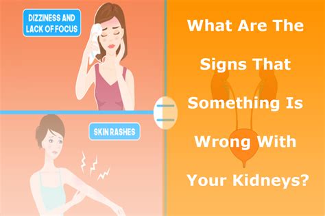 Dr Puneet Dhawan Ayurvedic Nephrologist What Are The Signs That Something Is Wrong With Your