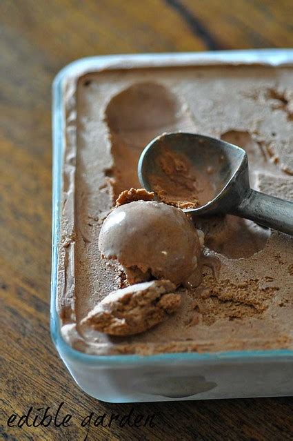 Homemade Chocolate Ice Cream Recipe Eggless Step By Step