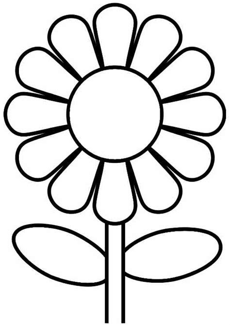 Sunflower Seed Page Coloring Pages