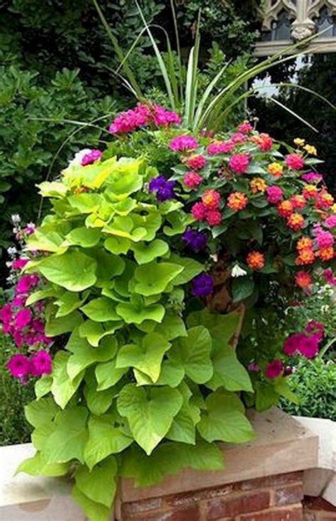 01 Beautiful Summer Container Garden Flowers Ideas