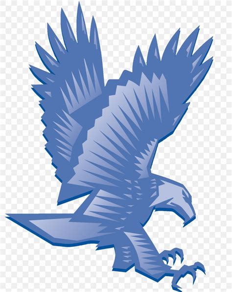 Bald Eagle Beak Clip Art Png 1404x1768px Bald Eagle Beak Bird