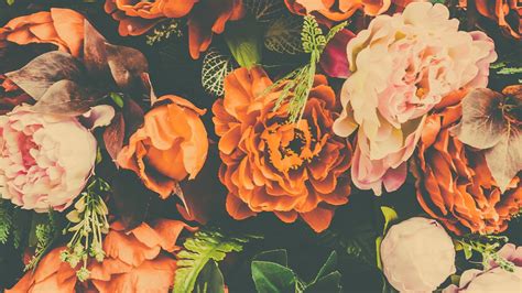 25 Selected Aesthetic Orange Flower Wallpaper You Can Save It Free Of
