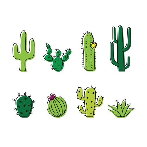 53592 Cactus Illustrations Royalty Free Vector Graphics And Clip Art