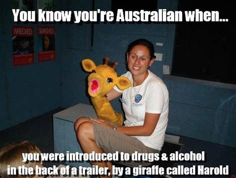 On Education Australia Funny Funny Aussie Australian Memes