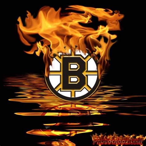 Bruins Boston Bruins Boston Bruins Logo Bruins