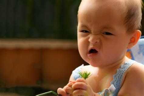 Funny Baby Photos That Will Make You Laugh Out Loud Readers Digest