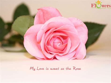 Telugu text quotes on love free download good morning quotes. Send this beautiful flowers to someone special ...
