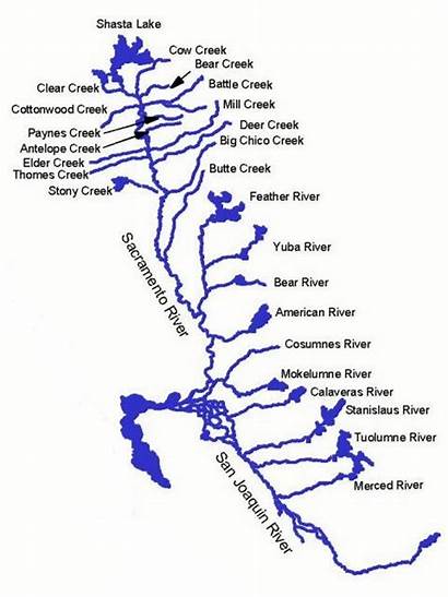 California Map River Central Fish Sacramento Watersheds