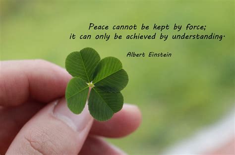 30 Best Peace Quotes The Wow Style