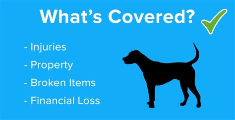 Dog Liability Insurance Germany Nr1 Guide In English 2020