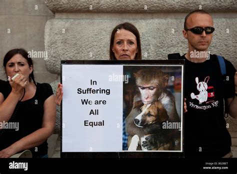 Against Animal Testing Stock Photos & Against Animal Testing Stock