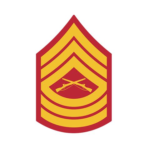 Marine Corps Usmc Chevron Gold Msgt Master Sergeant E8 Male Pair Mail