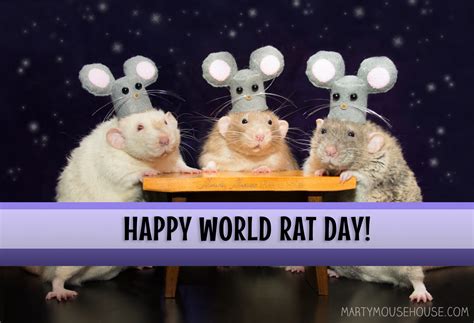 World Rat Day 2022 Marty Mouse House