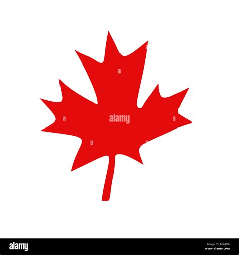 Canadian Red Maple Leaf Stock Photo Alamy