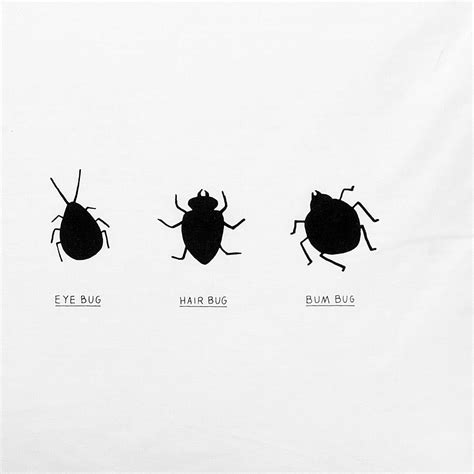 The main difference is that they're a little longer, with a brown midsection with dark spots. Know Your Bed Bugs — Pillowcase | Turd Circus