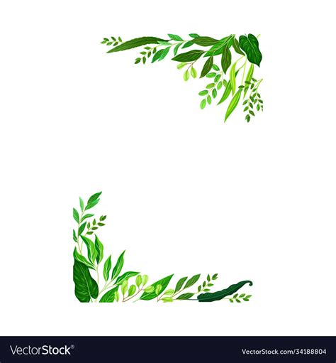 Frame Corners With Green Leaves Or Foliage Vector Image